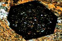 Grenat automorphe LPA x10